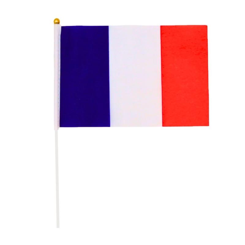 DRAPEAU FRANCE 14X21CM + STICK 30CM