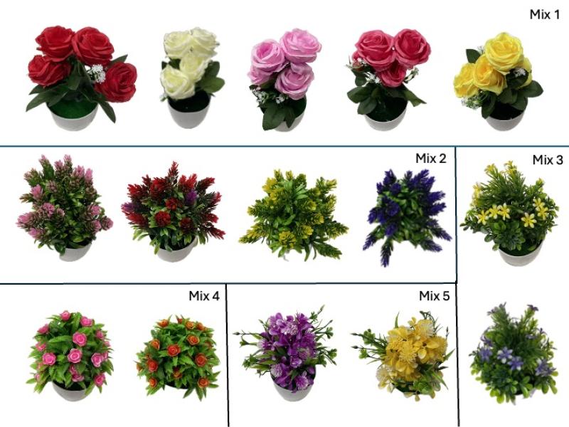 FLEUR EN POT