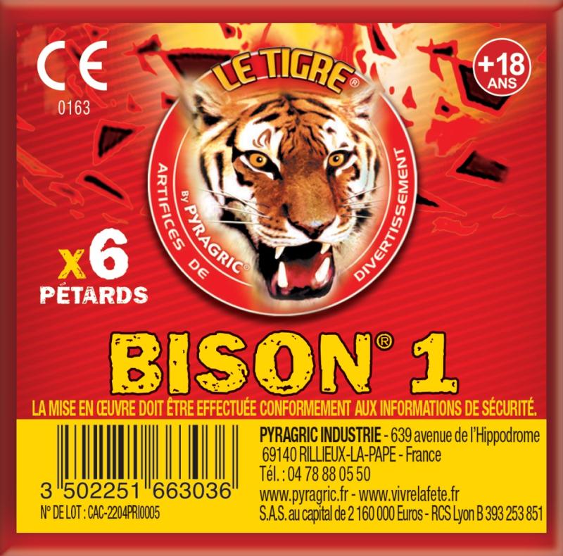BISON 1 40X6P