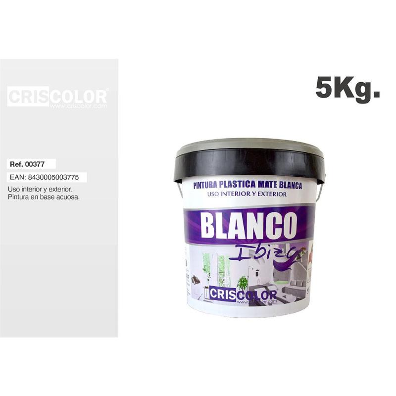 PEINTURE BLANCHE INT/EXT 5KG
