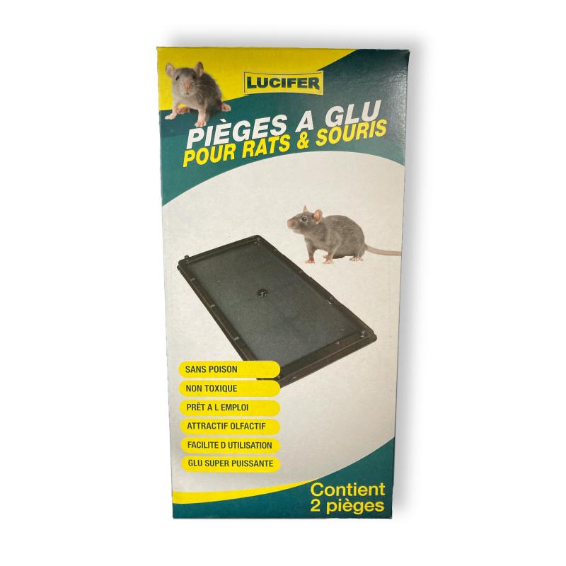 PIEGE A GLU RAT & SOURIS 2PCS
