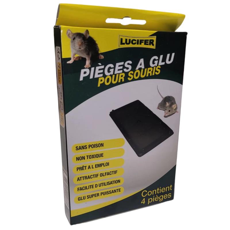 PIEGE A GLU SOURIS 4PCS