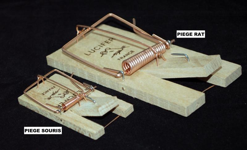 PIEGE RAT VRAC