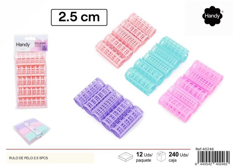 BIGOUDIS PLASTIQUE 2.5CM X5