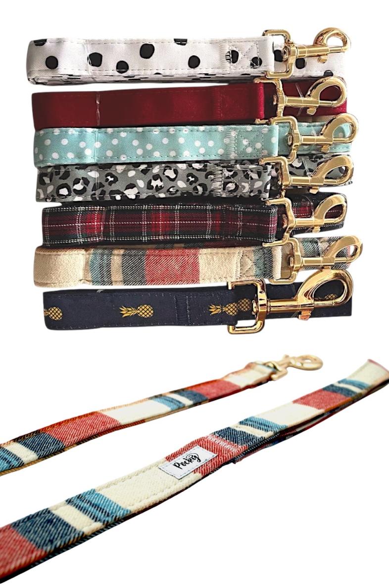 LAISSE CHIEN 1M20 COULEUR ASSORTI