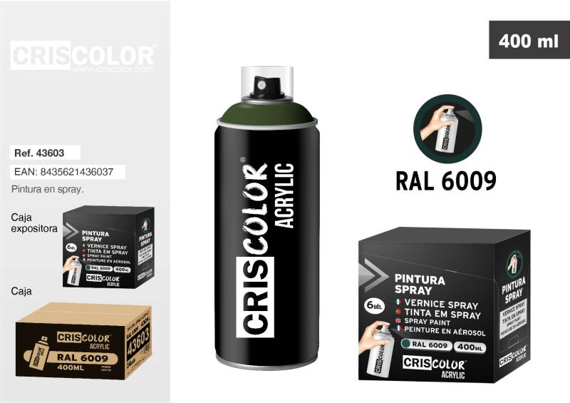 PEINTURE SPRAY 400ML RAL 6009 Vert Sapin