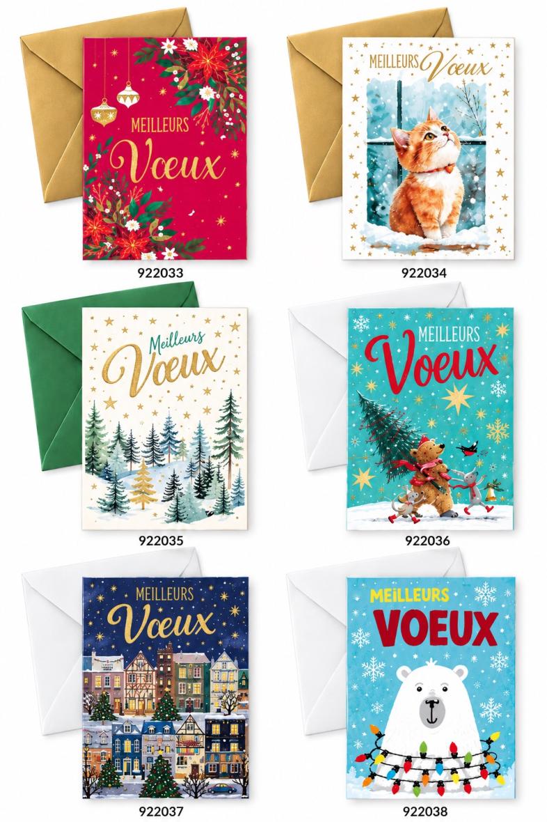 6 CARTES DE VŒUX AVEC ENVELOPPE 11.5*17CM ASSORTIS