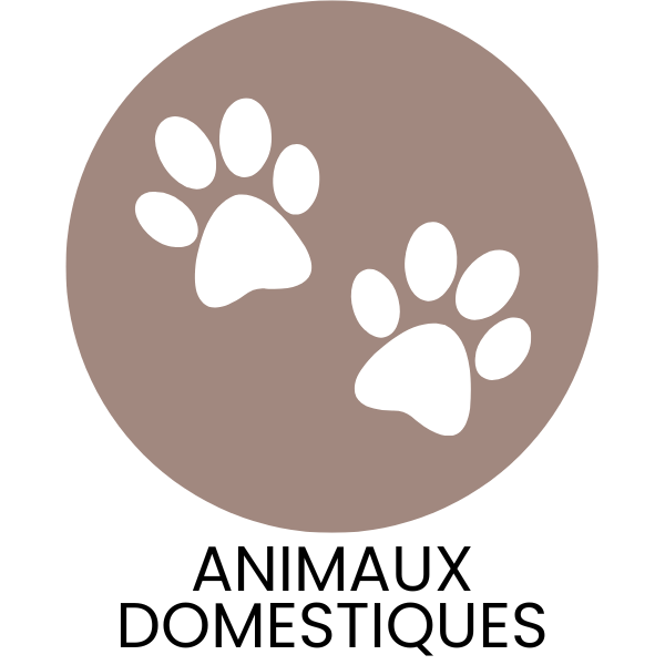 Animaux